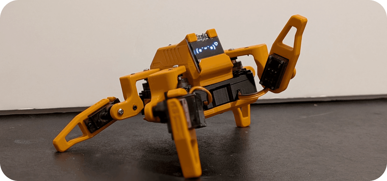 Orange quadruped robot with an OLED face, photographed from a low angle.