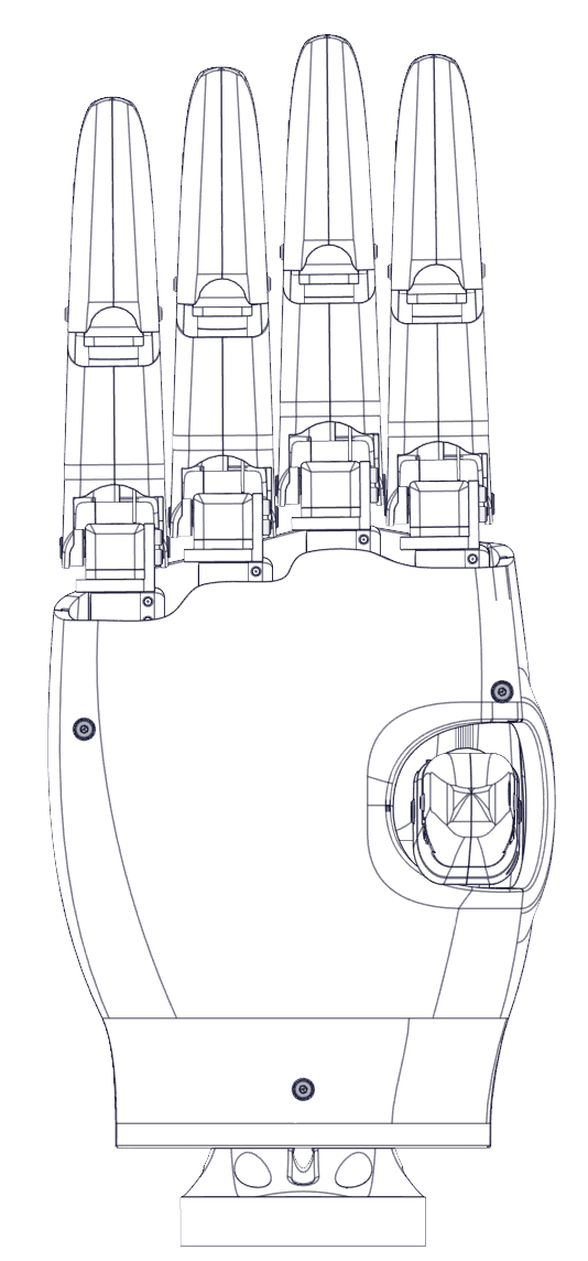 Rendered view of a five-fingered robotic hand.